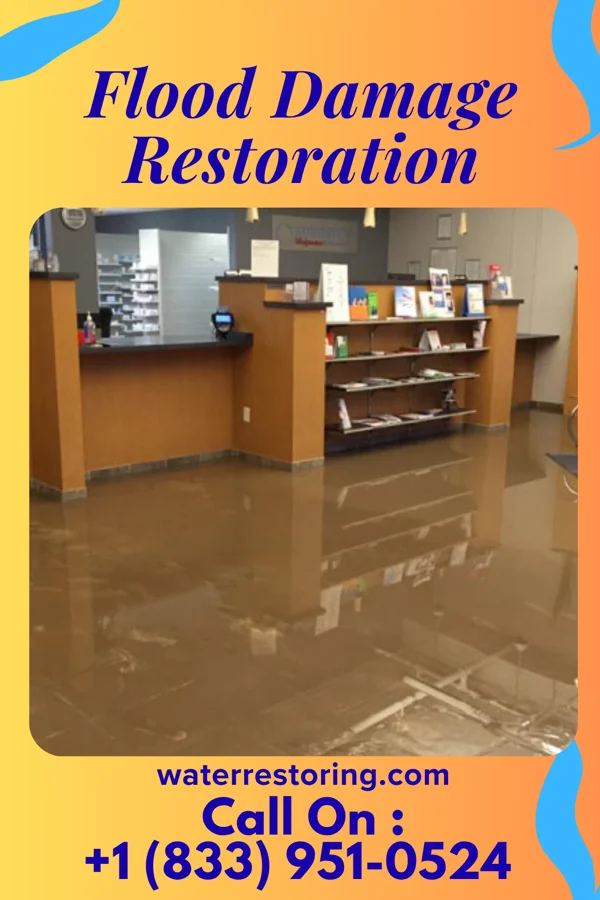 Flood Damage Restoration in Auburn, KY