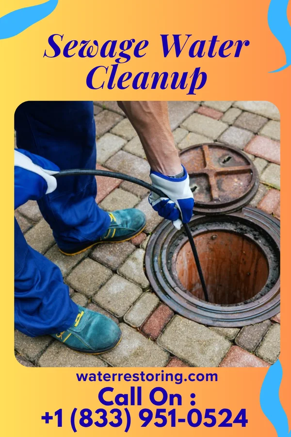 Sewage Water Cleanup in Auburn, KY